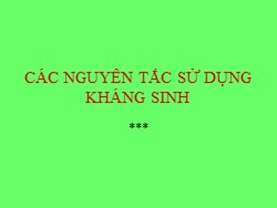 Bài giảng Các nguyên tắc sử dụng kháng sinh