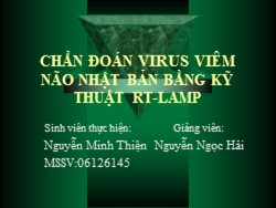 Bài giảng Chẩn đoán virus viêm não Nhật Bản bằng kỹ thuật Rt-Lamp - Nguyễn Minh Thiện