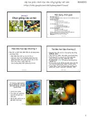 Bài giảng Chọn giống cây trồng dài ngày - Chương 2: Chọn giống cây có múi
