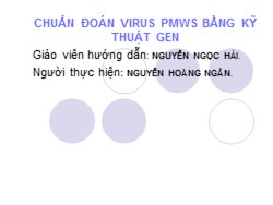 Bài giảng Chuẩn đoán virus pmws bằng kỹ thuật gen - Nguyễn Hoàng Ngân
