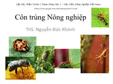 Bài giảng Côn trùng nông nghiệp - Nguyễn Đức Khánh