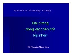 Bài giảng Đại cương động vật chân đốt lớp nhện - Nguyễn Ngọc San