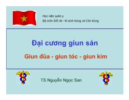 Bài giảng Đại cương giun sán giun đũa - giun tóc - giun kim - Nguyễn Ngọc San