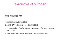 Bài giảng Đại cương về Glycosid (Phần 1)