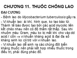 Bài giảng Dược lý học - Chương 11: Thuốc chống lao