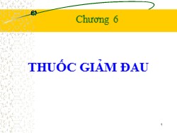 Bài giảng Hóa dược - Chương 6: Thuốc giảm đau