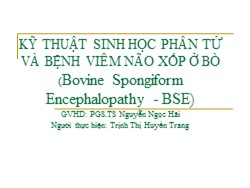 Bài giảng Kỹ thuật sinh học phân tử và bệnh viêm não xốp ở bò (Bovine spongiform encephalopathy - Bse)