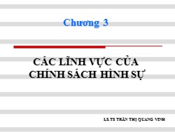 Bài giảng Luật hình sự - Chương 3: Các lĩnh vực của chính sách hình sự - Trần Thị Quang Vinh