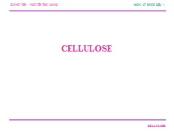 Bài giảng Lý thuyết dược liệu 1 - Cellulose