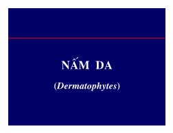 Bài giảng Nấm da (Dermatophytes)