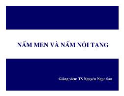 Bài giảng Nấm men và nấm nội tạng - Nguyễn Ngọc San