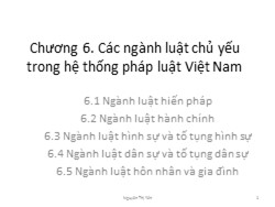 Bài giảng Pháp luật đại cương - Chương 6: Các ngành luật chủ yếu trong hệ thống pháp luật Việt Nam