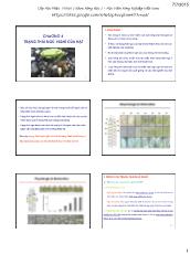 Bài giảng Sản xuất giống và công nghệ hạt giống - Chương 4: Trạng thái ngủ của hạt