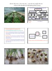 Bài giảng Sản xuất giống và công nghệ hạt giống - Chương 9: Kỹ thuật sản xuất giống đối với cây sinh sản vô tính