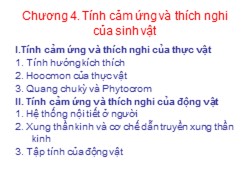 Bài giảng Sinh học đại cương - Chương 4: Tính cảm ứng và thích nghi của sinh vật