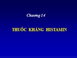 Bài giảng Thuốc kháng Histamin