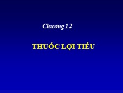 Bài giảng Thuốc lợi tiểu