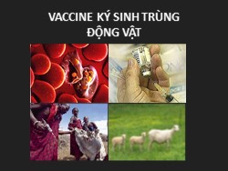 Bài giảng Vaccine ký sinh trùng động vật