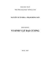 Bài giảng Vi sinnh vật đại cương - Nguyễn Xuân Hòa (Phần 1)