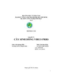 Báo cáo Cây sinh dòng virus PRRS