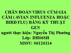 Chẩn đoán virus cúm gia cầm ( avian influenza hoặc bird flu) bằng kỹ thuật gen - Nguyễn Thị Phưởng