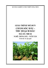 Giáo trình Chăm sóc dâu - Thu hoạch dâu - Mã số MH 02: Nghề trồng dâu - nuôi tằm