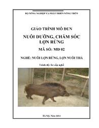 Giáo trình Nuôi dưỡng, chăm sóc lợn rừng - Mã số MĐ 02: Nghề nuôi lợn rừng, lợn nuôi thả