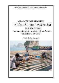 Giáo trình Nuôi hàu thương phẩm - Mã số MĐ 05: Nghề sản xuất giống và nuôi hàu Thái Bình Dương