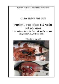 Giáo trình Phòng, trị bệnh cá nuôi - Mã số MĐ 05: Nghề nuôi cá lồng bè nước ngọt (Cá chép, cá trắm cỏ)