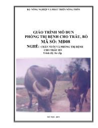 Giáo trình Phòng trị bệnh cho trâu, bò - Mã số MĐ 08: Nghề chăn nuôi và phòng trị bệnh cho trâu bò