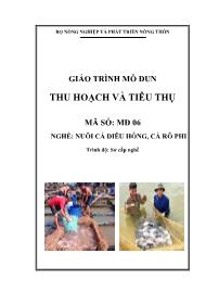 Giáo trình Thu hoạch và tiêu thụ - Mã số MĐ 06: Nghề nuôi cá diêu hồng, cá rô phi