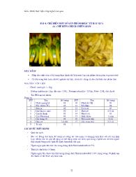 Giáo trình thực tập Công nghệ chế biến rau quả - Trần Thị Lan Hương (Phần 2)
