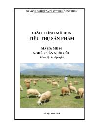 Giáo trình Tiêu thụ sản phẩm - Mã số MĐ 06: Nghề chăn nuôi cừu