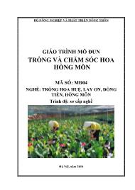Giáo trình Trồng và chăm sóc hoa hồng môn - Mã số MĐ 04: Nghề trồng hoa huệ, lay ơn, đồng tiền, hồng môn