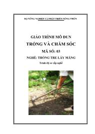 Giáo trình Trồng và chăm sóc - Mã số MĐ 03: Nghề trồng tre lấy măng