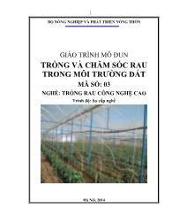 Giáo trình Trồng và chăm sóc rau trong môi trường đất - Mã số MĐ 03: Nghề trồng rau công nghệ cao
