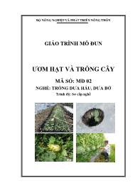 Giáo trình Ươm hạt và trồng cây - Mã số MĐ 02: Nghề trồng dưa hấu, dưa bở