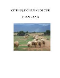 Kỹ thuật chăn nuôi cừu Phan Rang