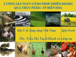 Lượng giá nguy cơ do phơi nhiễm dioxin qua thực phẩm – Tp Biên Hòa - Trần Thị Tuyết Hạnh