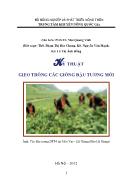 Tài liệu Kỹ thuật gieo trồng các giống đậu tương mới - Mai Quang Vinh