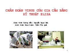 Tiểu luận Chẩn đoán virus cúm gia cầm bằng kỹ thuật Elisa - Trần Thị Quế
