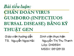 Tiểu luận Chẩn đoán virus Gumboro (Infectiuos bursal disease) bằng kỹ thuật gen