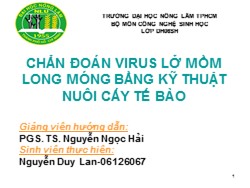 Tiểu luận Chẩn đoán virus lở mồm long móng bằng kỹ thuật nuôi cấy tế bào - Nguyễn Duy Lan