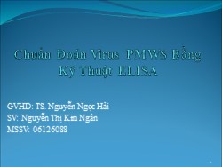 Tiểu luận Chuẩn đoán virus PMWS bằng kỹ thuật Elisa - Nguyễn Thị Kim Ngân