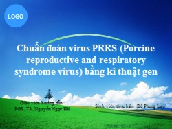 Tiểu luận Chuẩn đoán virus PRRS (Porcine reproductive and respiratory syndrome virus) bằng kĩ thuật gen - Đỗ Phong Lưu