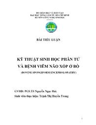 Tiểu luận Kỹ thuật sinh học phân tử và bệnh viêm não xốp ở bò