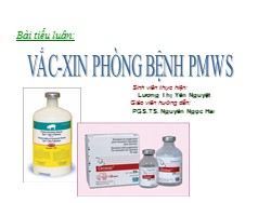 Tiểu luận Vắc-xin phòng bệnh PMWS - Lương Thị Yến Nguyệt