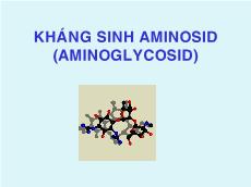 Bài giảng Kháng sinh aminosid