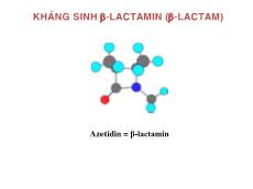 Bài giảng Kháng sinh B-Lactamin (Phần 1)