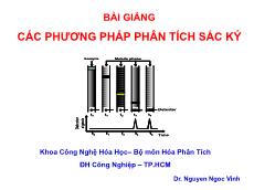 Bài giảng Các phương pháp phân tích sắc ký - Nguyễn Ngọc Vinh